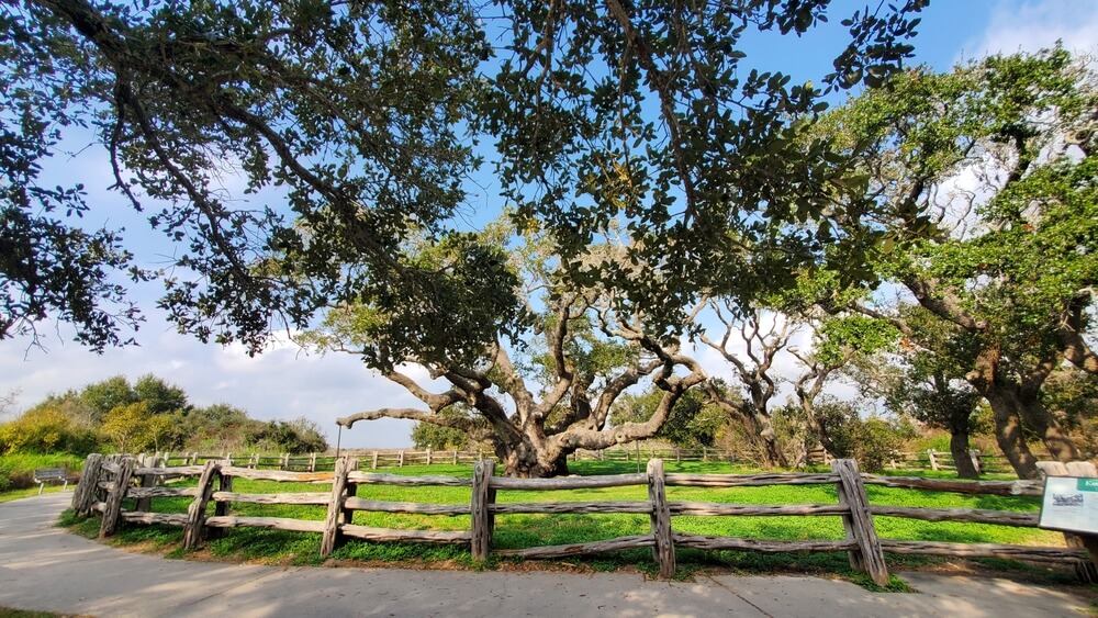 Explore the Hidden Gems in Rockport, Texas